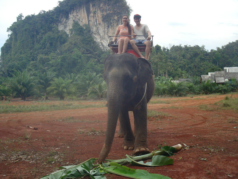 Elefant Trekking