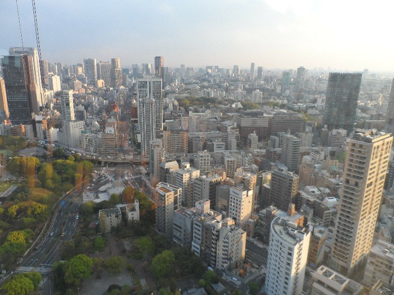 Tokyo Metropolis