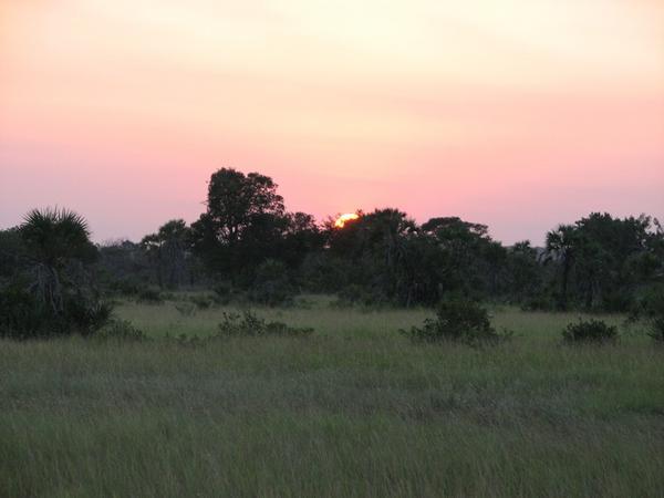 Sunset on the Savannah