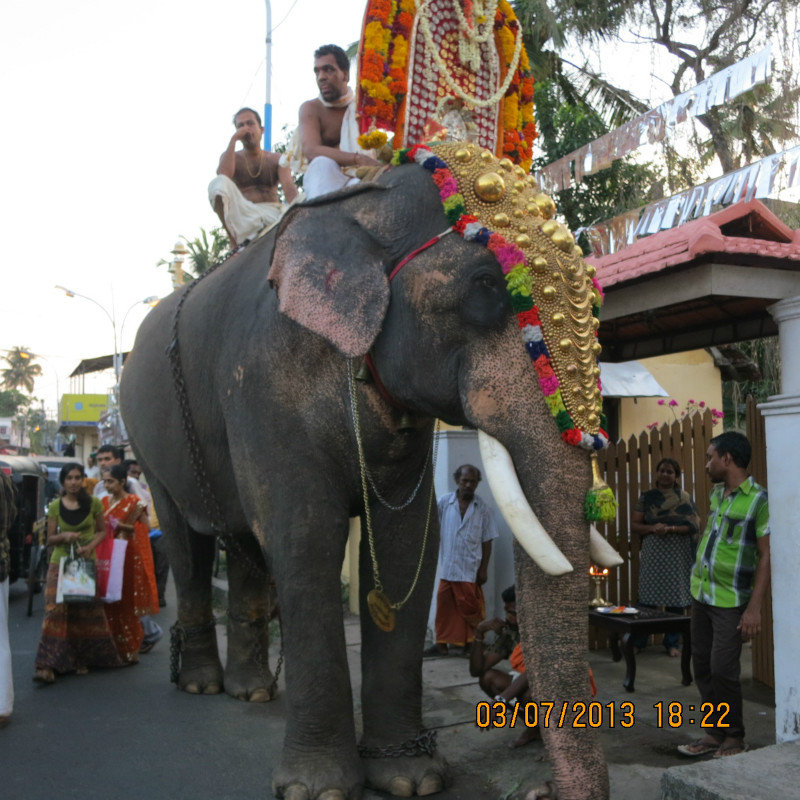 another shot of the elephant