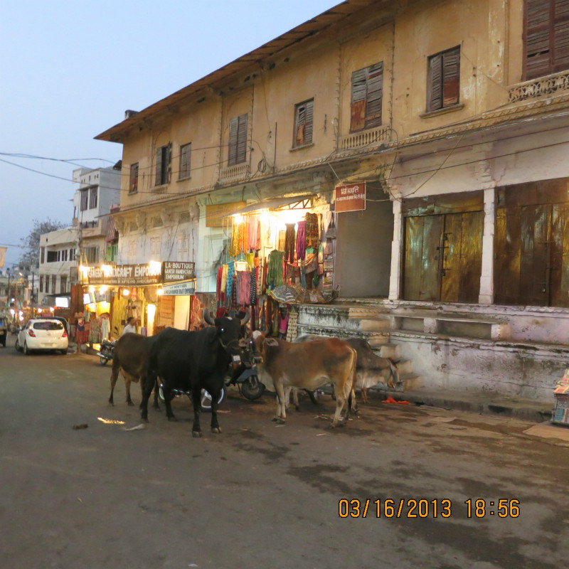 udaipur streets