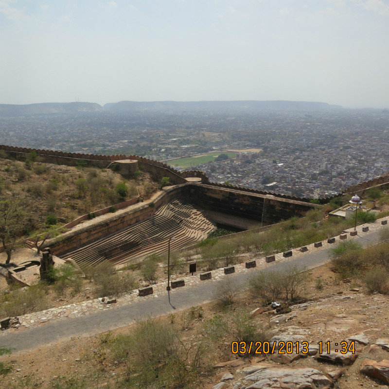 tiger fort wall