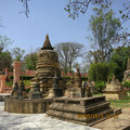 mahabodhi temple grounds