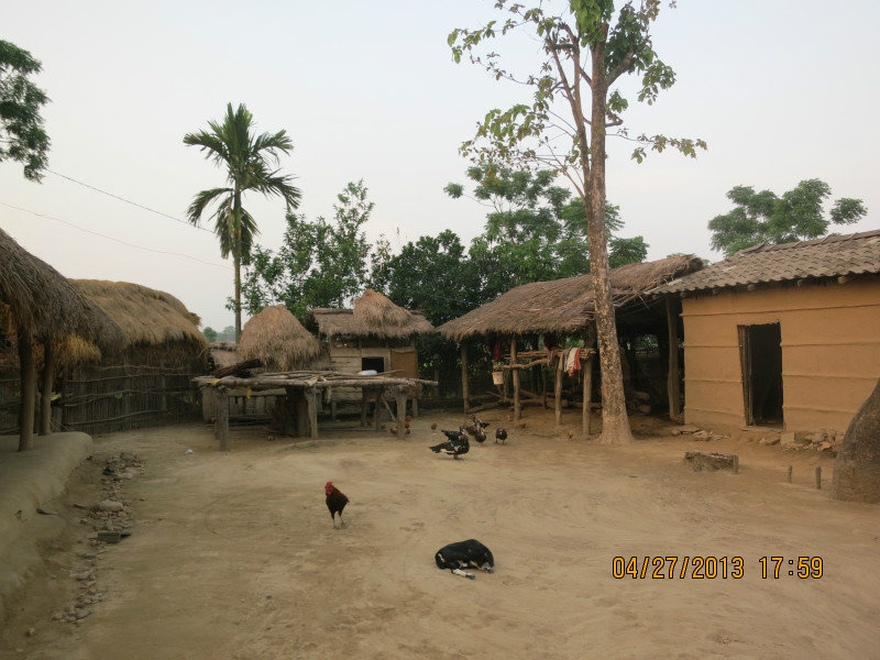 village near chitwan