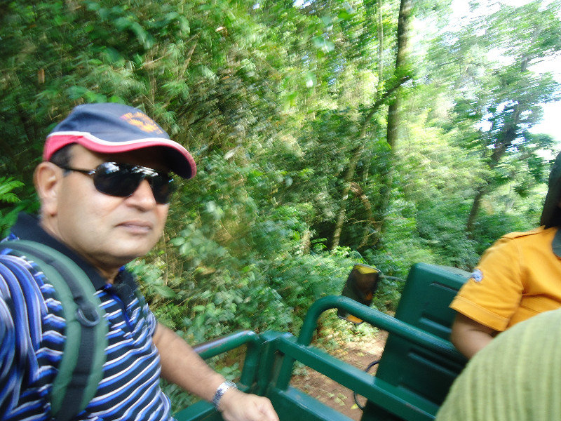 Iguazu Jungle Trip