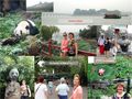 China Aug 2014 - Beijing Summer Palace-Beijing Zoo