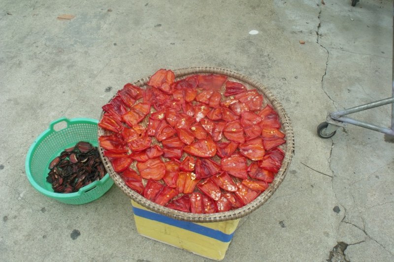 Peppers drying in the street