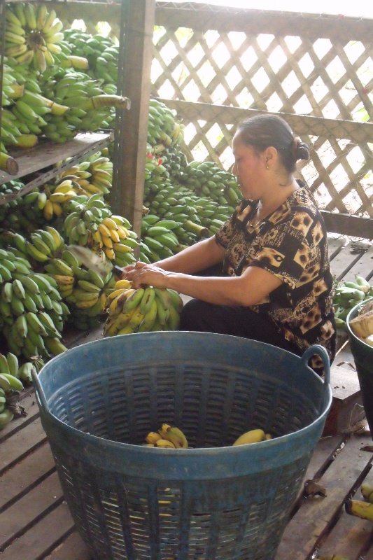 A woman preparing the bananas