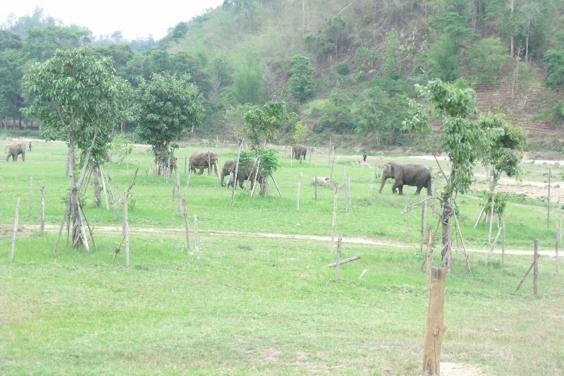 A view across the elephant park and its beautiful surroundings