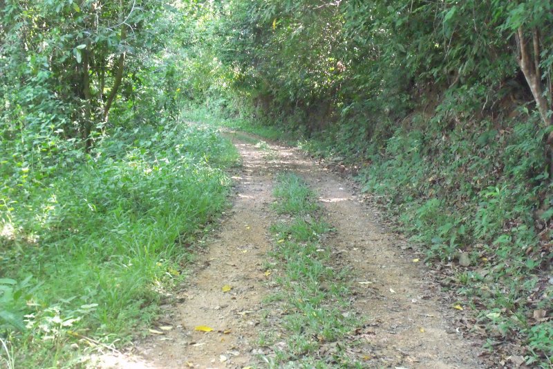 Track through the Kep National Park