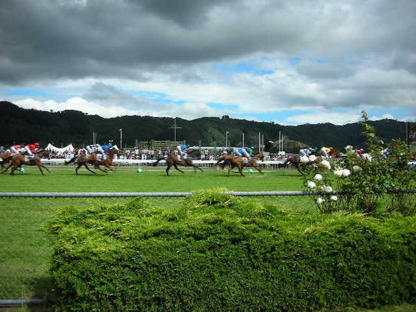 Some horses racing