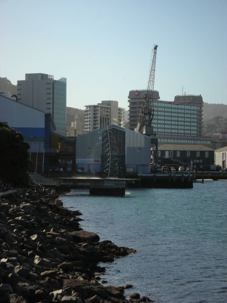 Welly waterfront