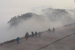 Gestalten im Nebel