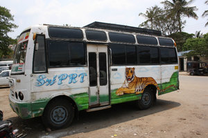 netter Bus in Halebid