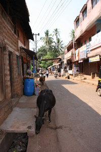 Straße in Gokarna