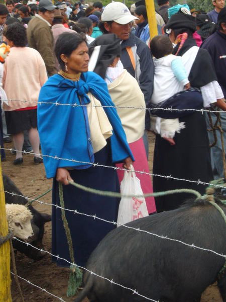 Woman @ Livestock Market