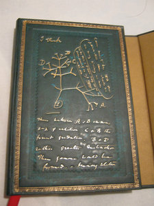 Darwins notebook: all travel-experiences summarized in a tree of life... Can you imagine a more suitable farewell gift? :D