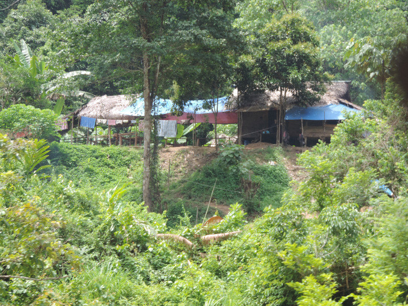 Häuser im Dschungel
