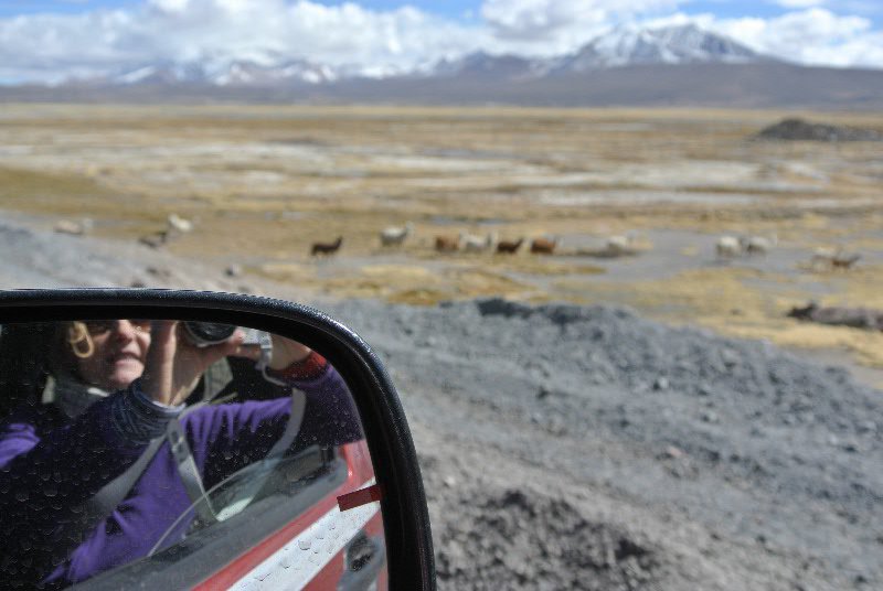 Altiplano of road drive