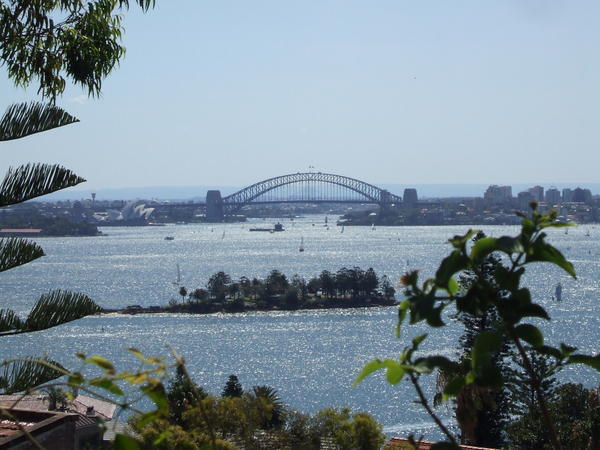 View of the Harbour from Rose Bay