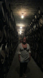 in the wine cellar