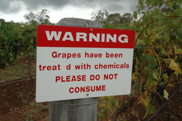 Grapes of wrath!