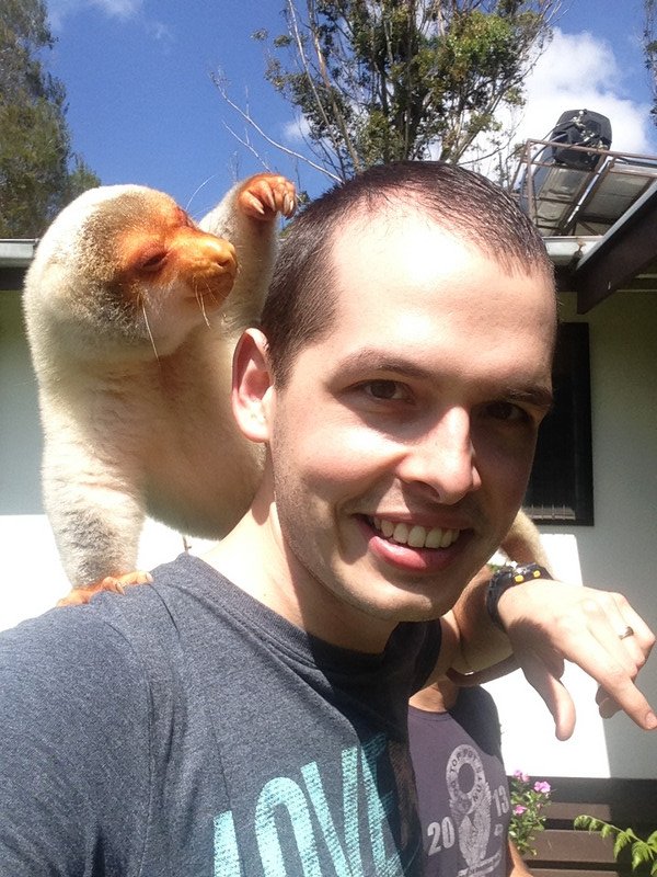 Hanging out with Ranger the cuscus