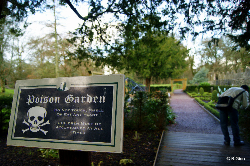 Poison Garden, Blarney