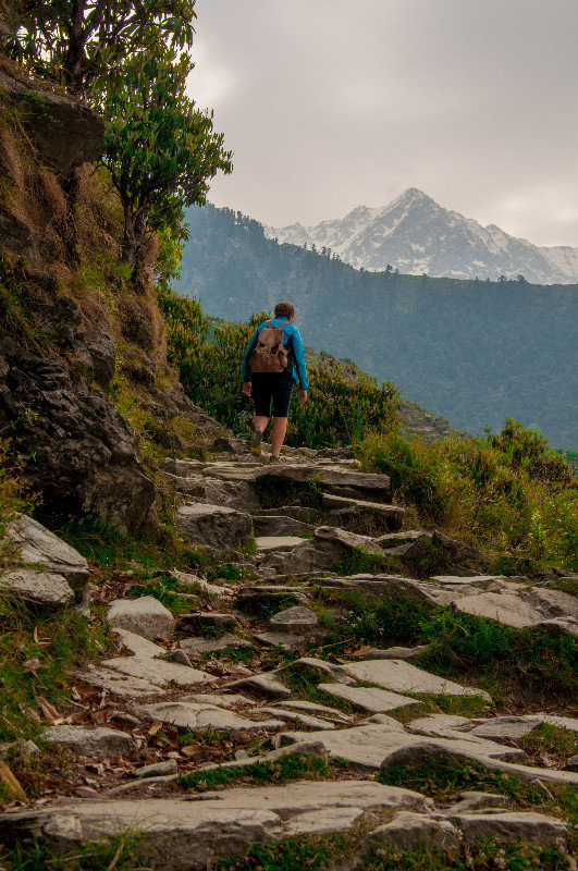 The way ahead - en route to Triund