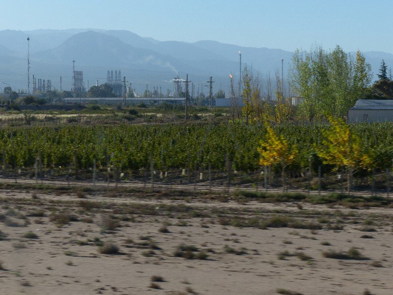 Vineyards and  refineries ...