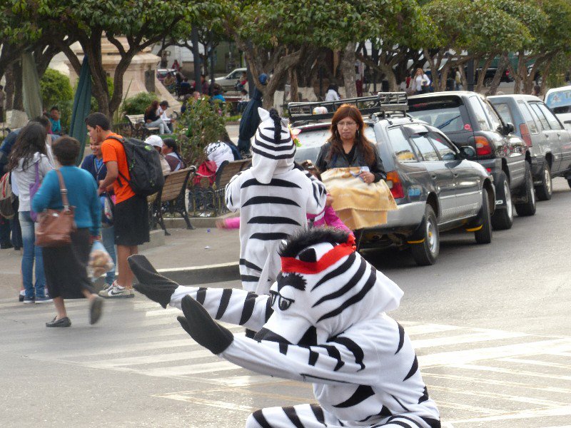 Zebra control on the zebra crossings