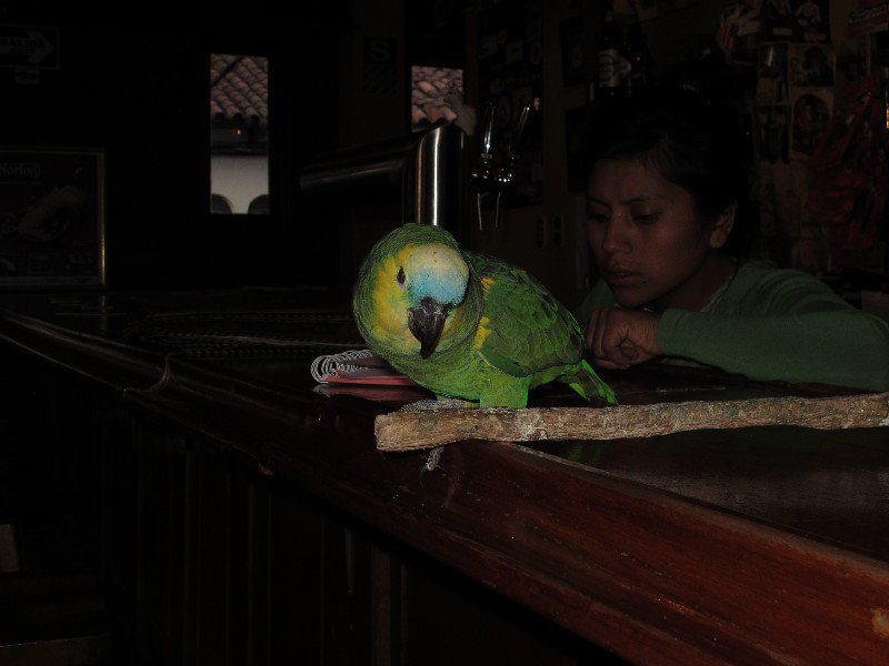 Picking up a blind bird at the bar