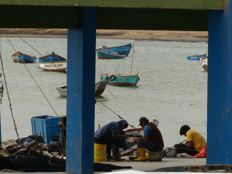 Fishermen inspecting their catch in Paracas Nature Reserve