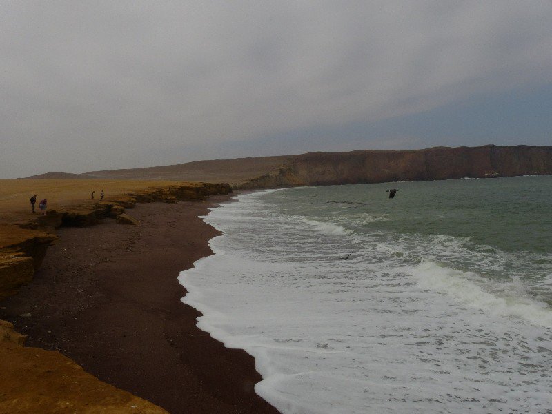 Red beach in Paracas Nature Reserve