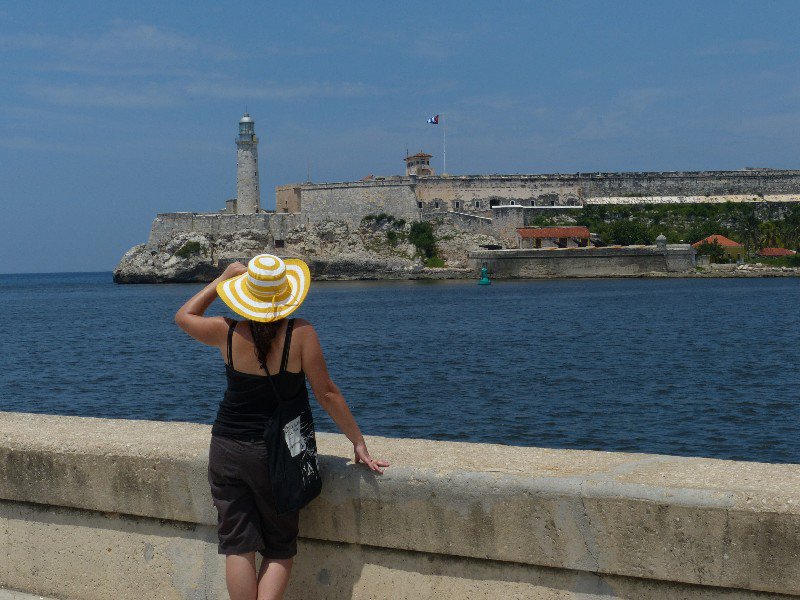 Mojo looking over to the Morro Castle