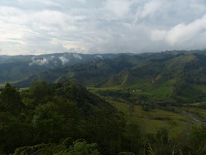 View over Cocora Valley