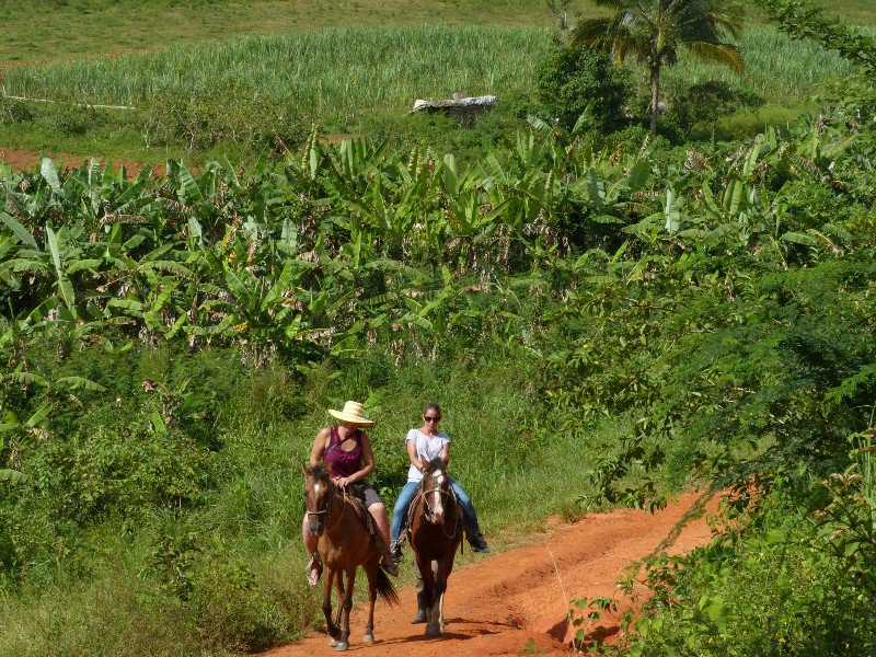 Horse back riding in Vinales