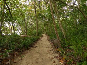 Trail in Cahuita National Park