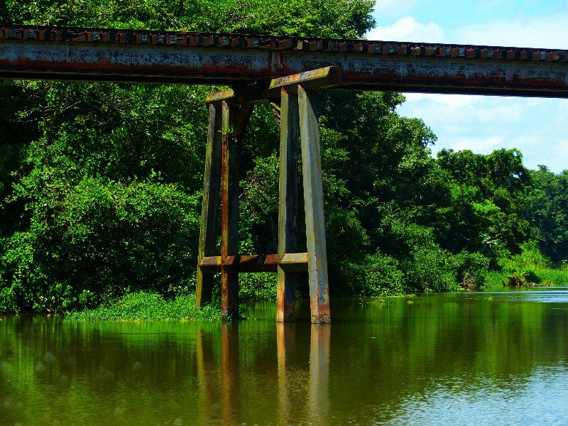 Jungle starting to reclaim an old bridge
