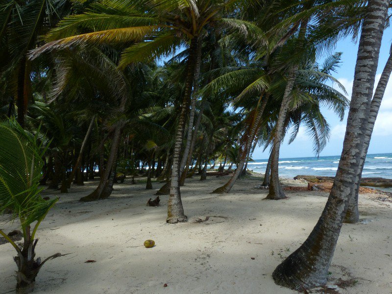 Isla Achutupo