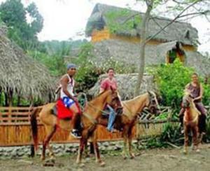 Horses outside rio muchacho