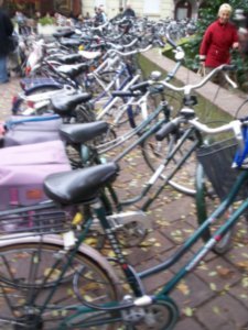 Brugge's bikes
