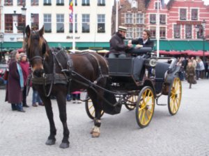 Carriage in Brugge