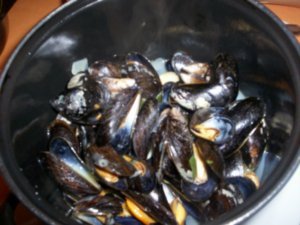 Mossel - Mussels - Scoici