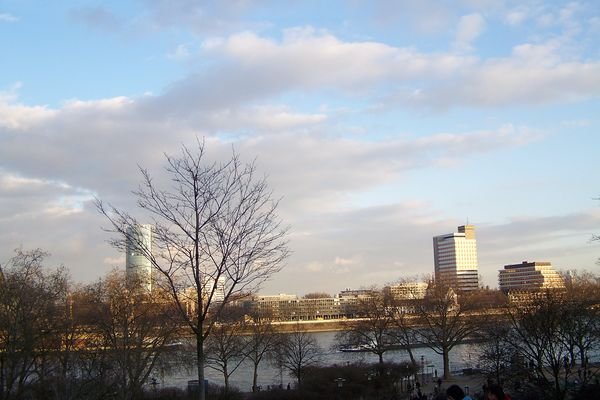 View over Rhine River