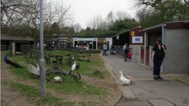 harlow town park - pet's corner