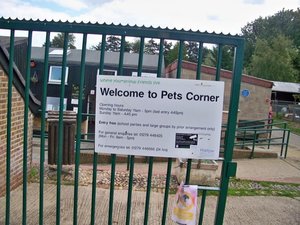 harlow town park pets corner