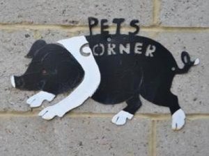 harlow town park pets corner