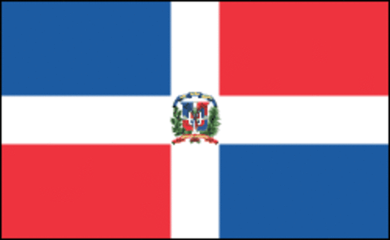 REPUBLIC'S FLAG