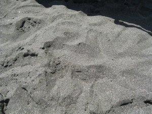 beautiful beach  brown sand